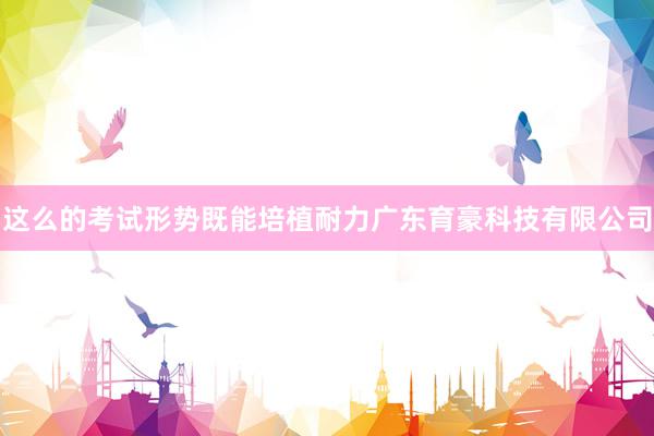 这么的考试形势既能培植耐力广东育豪科技有限公司